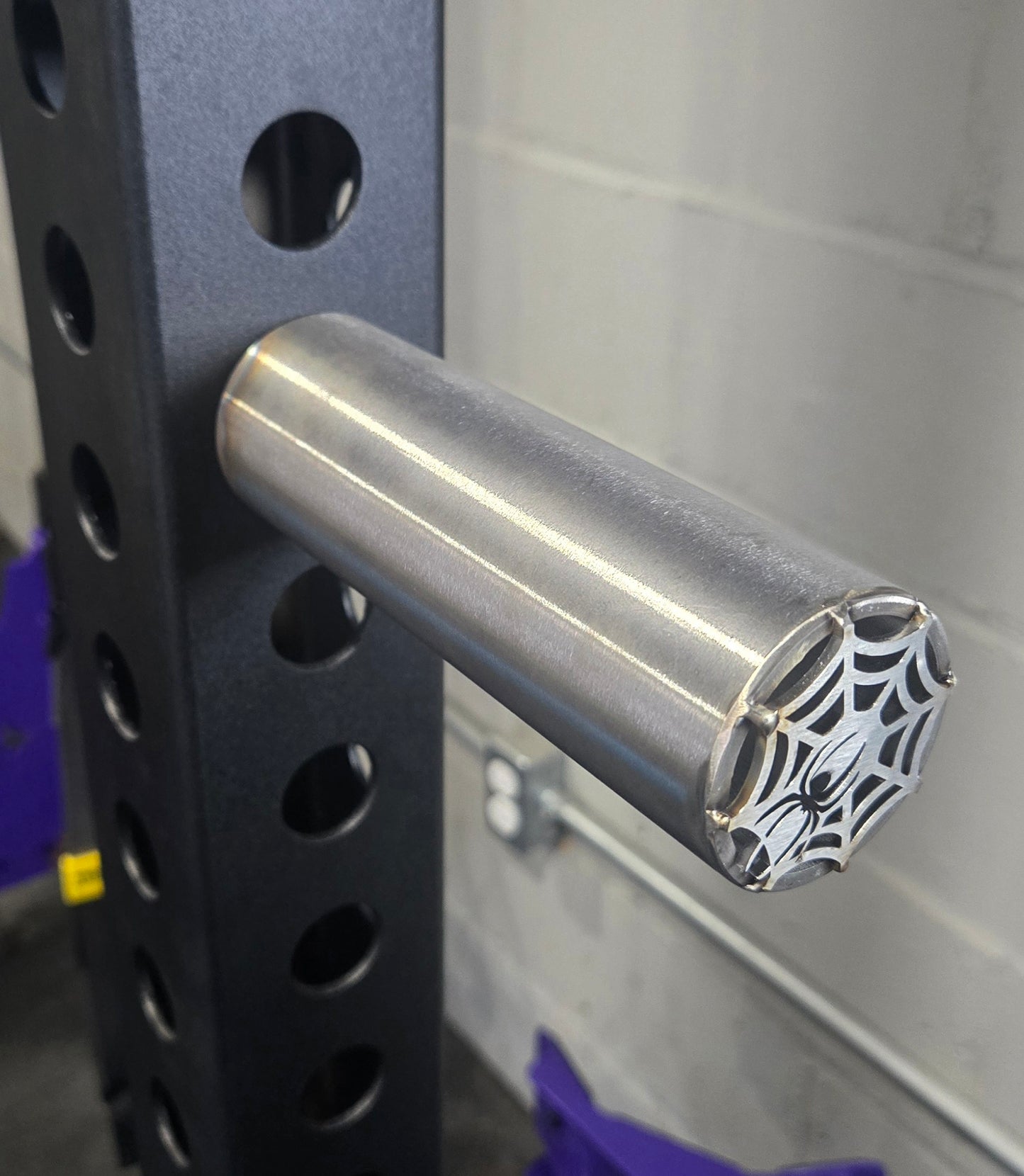 Stainless Steel Weight Horn (Pair)