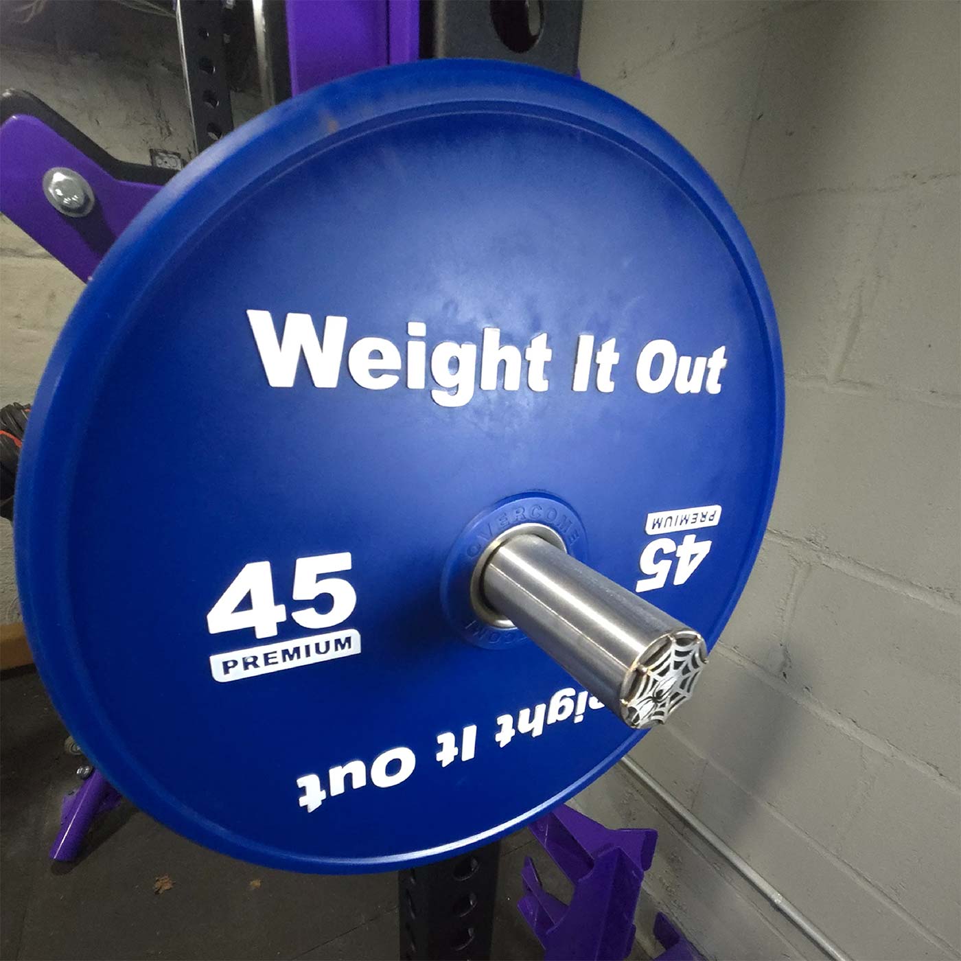 Stainless Steel Weight Horn (Pair)