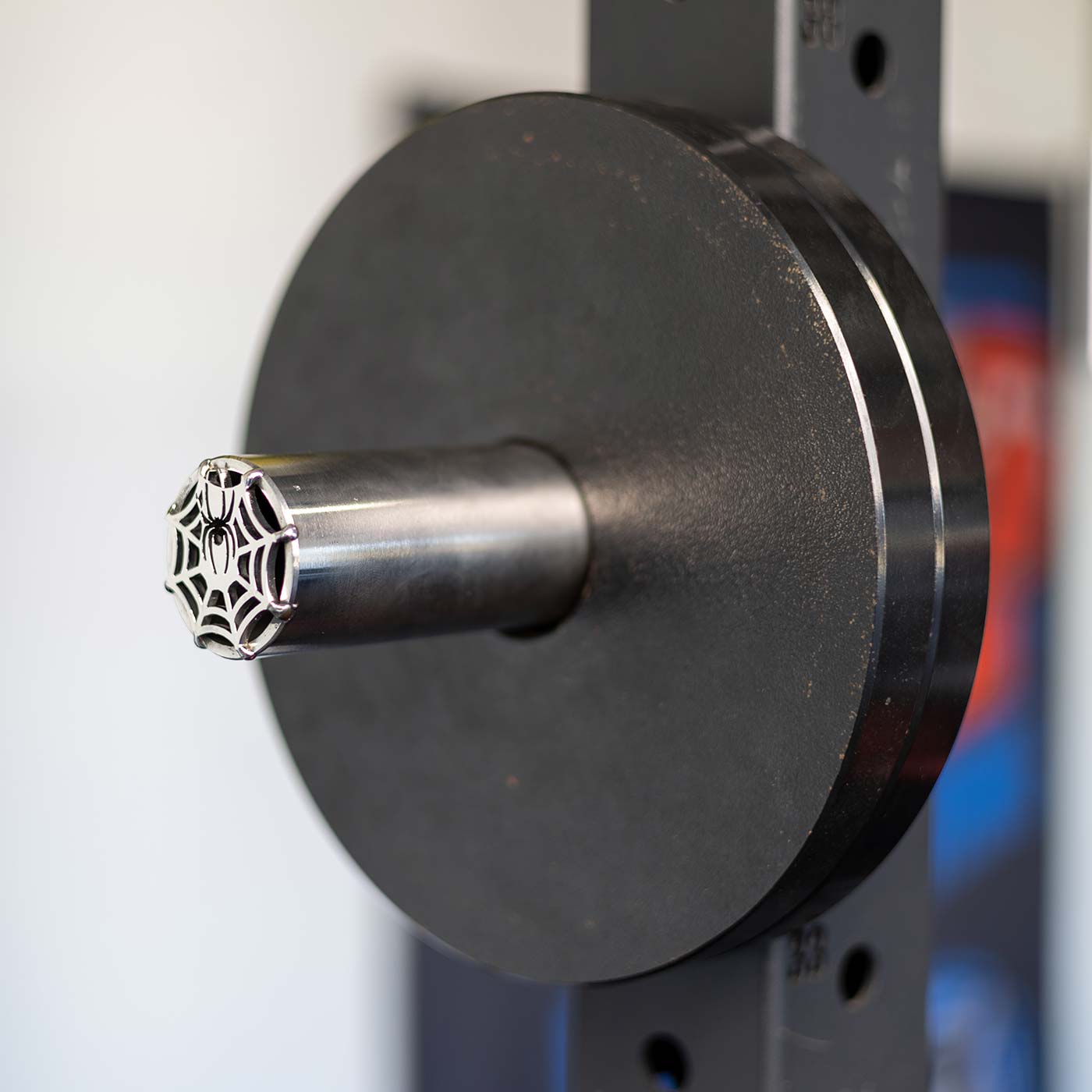 Stainless Steel Weight Horn (Pair)